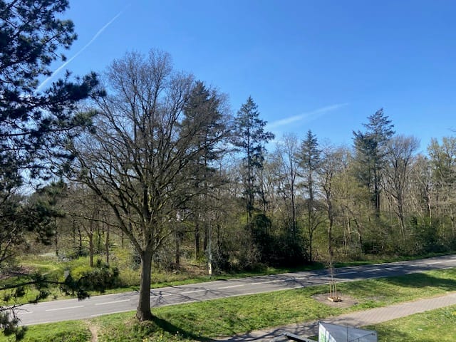 Foto 2 van Varenkamp 205