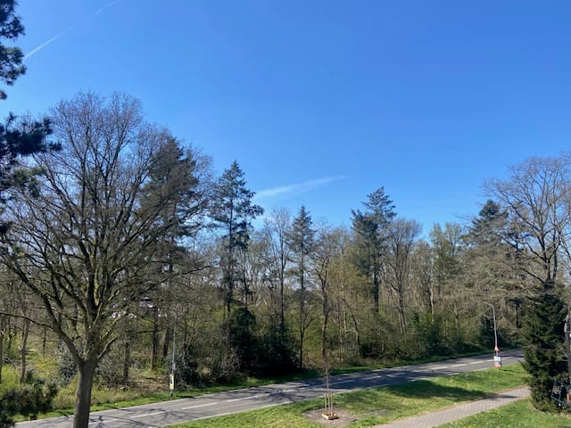 Photo 12 of Varenkamp 205