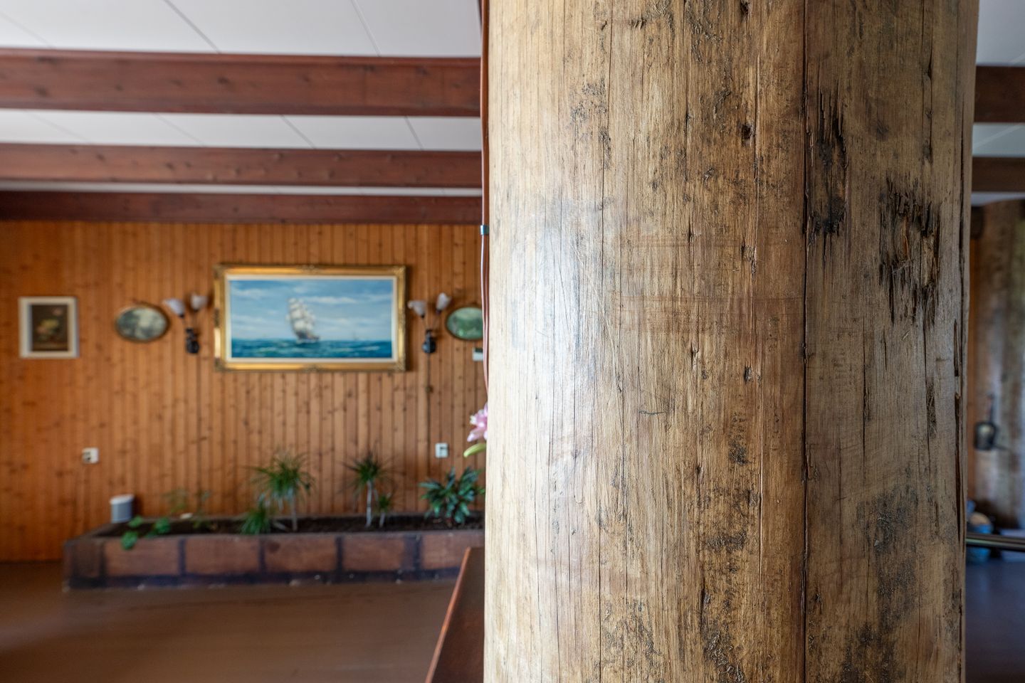 Foto 19 van Warder 177