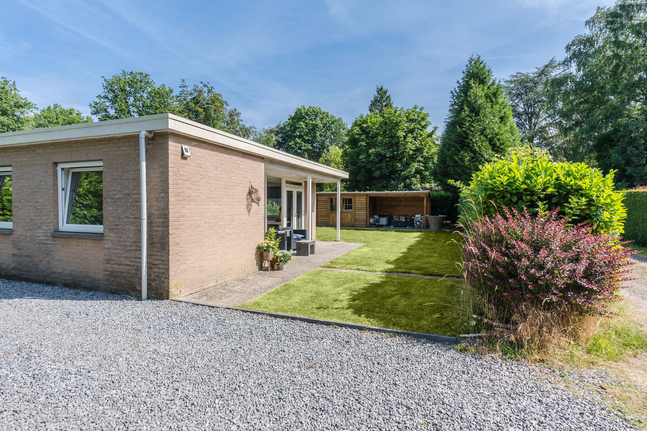 Photo 18 of Kievit 12-B362