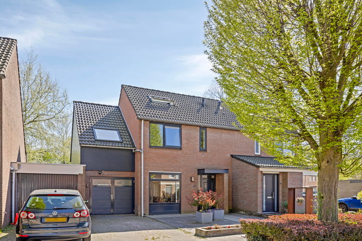 Dommel 55