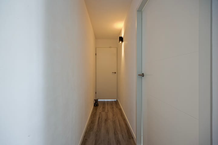 Foto 15 van Dommel 55