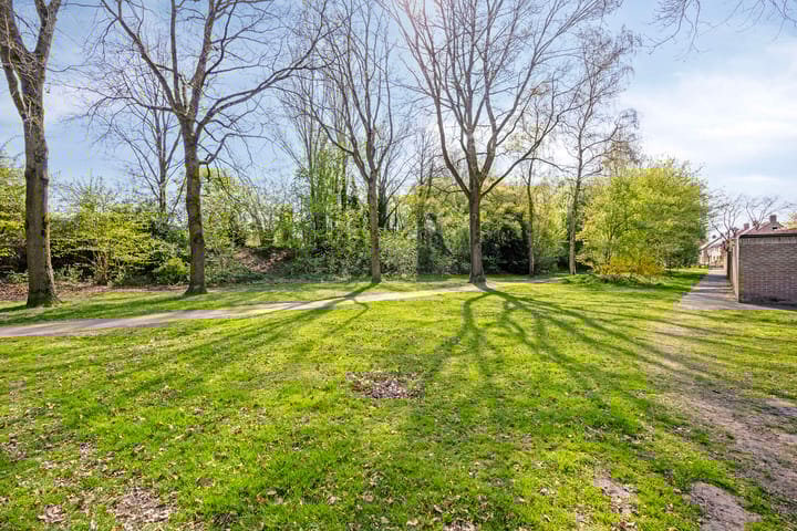 Foto 37 van Dommel 55