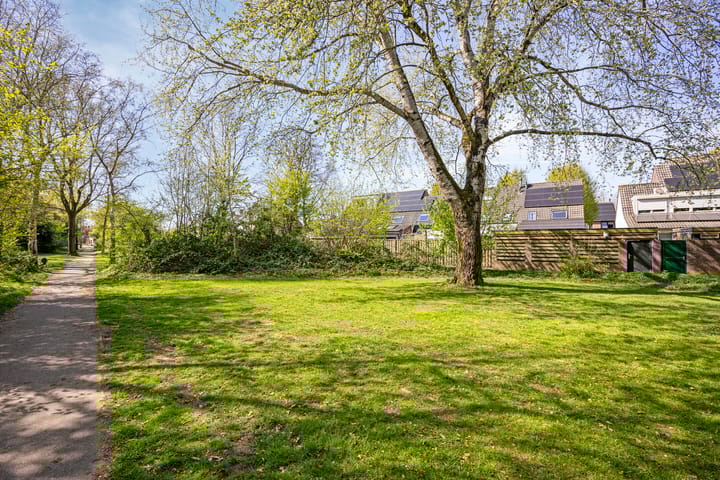 Foto 38 van Dommel 55