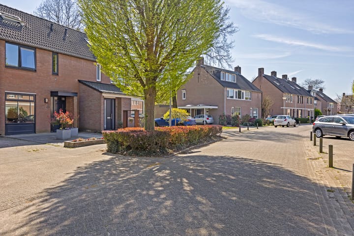 Foto 41 van Dommel 55