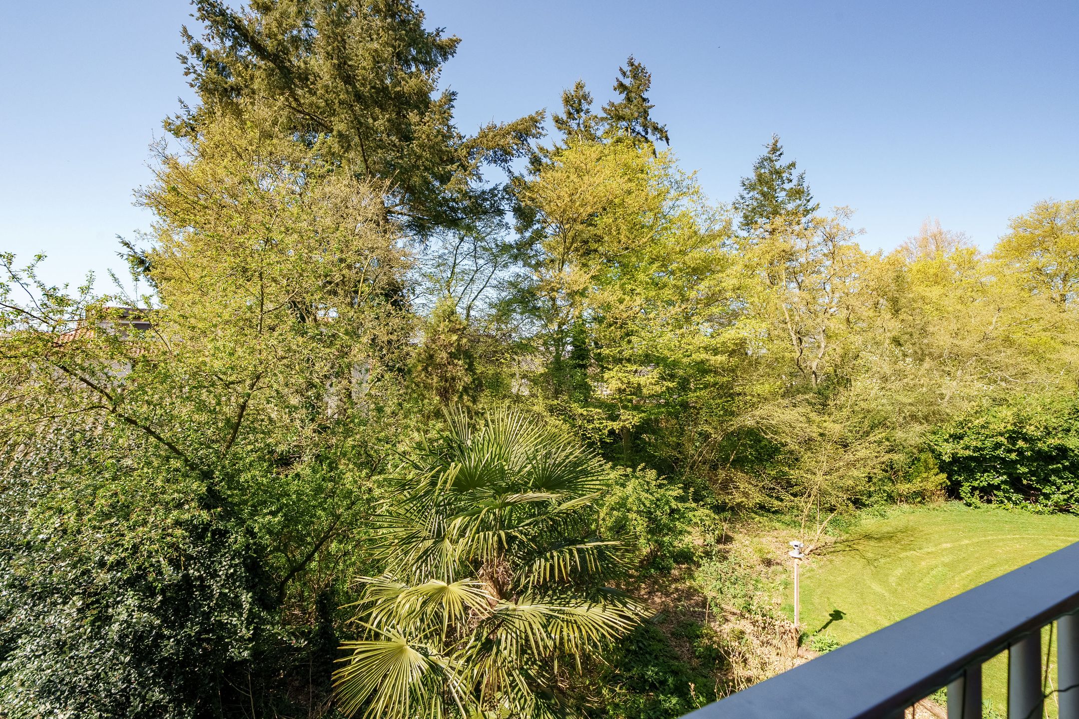 Foto 21 van Diedenweg 63-I