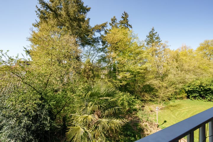 Foto 21 van Diedenweg 63-I