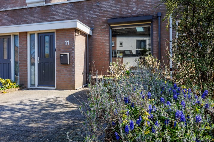 Foto 40 van Kling 11