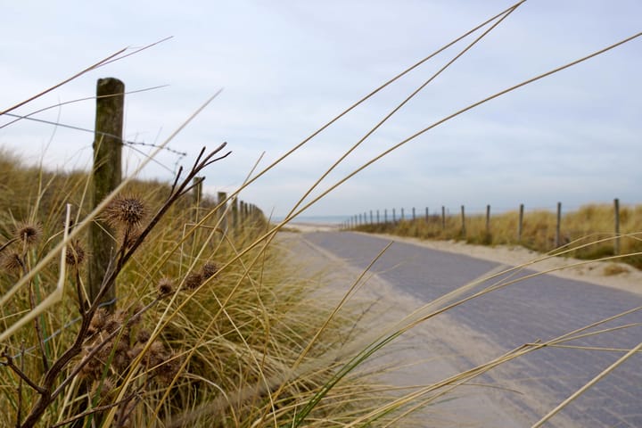 Foto 26 van Landréstraat 1025