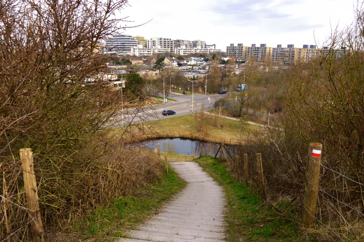 Foto 30 van Landréstraat 1025