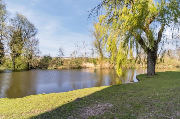 Foto 33 van Suze Groeneweglaan 329