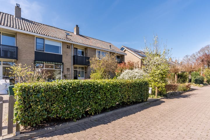 Foto 44 van Abelenlaan 45