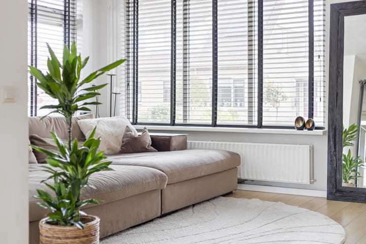 Foto 13 van Zwaluw 4