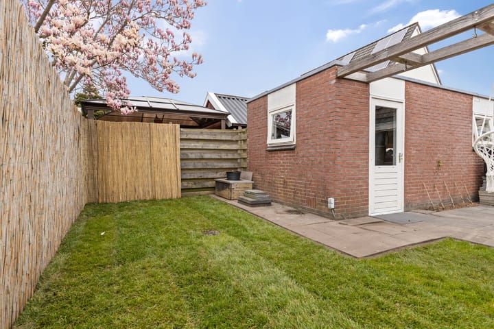 Foto 38 van Zwaluw 4