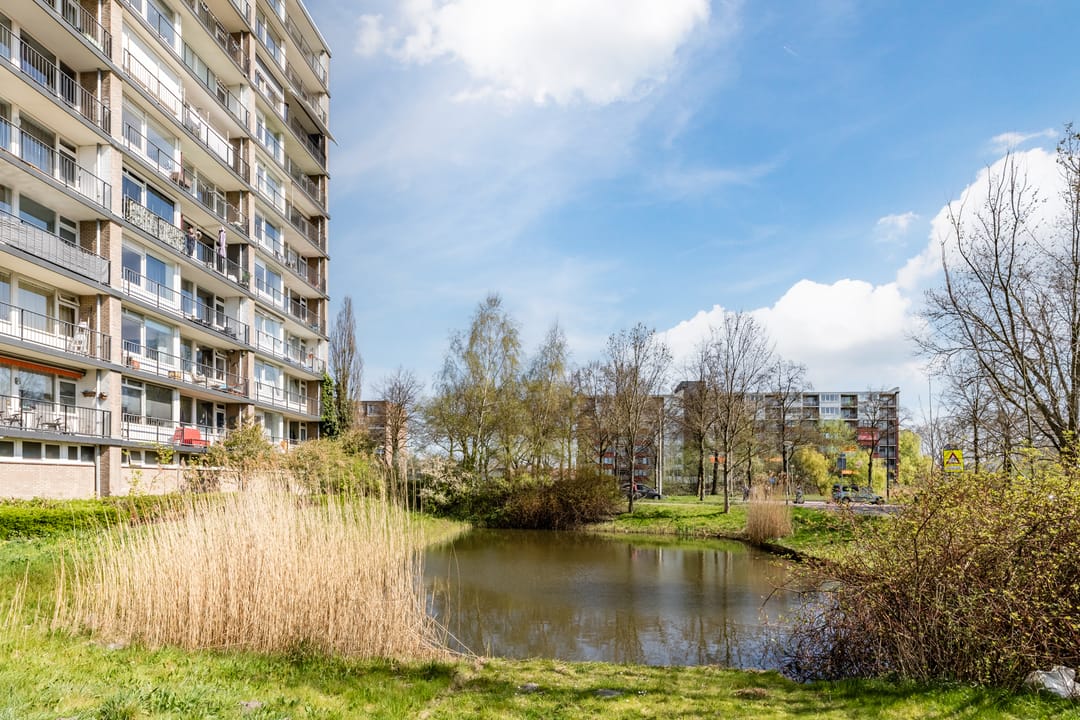 Photo 26 of Antwerpenstraat 50