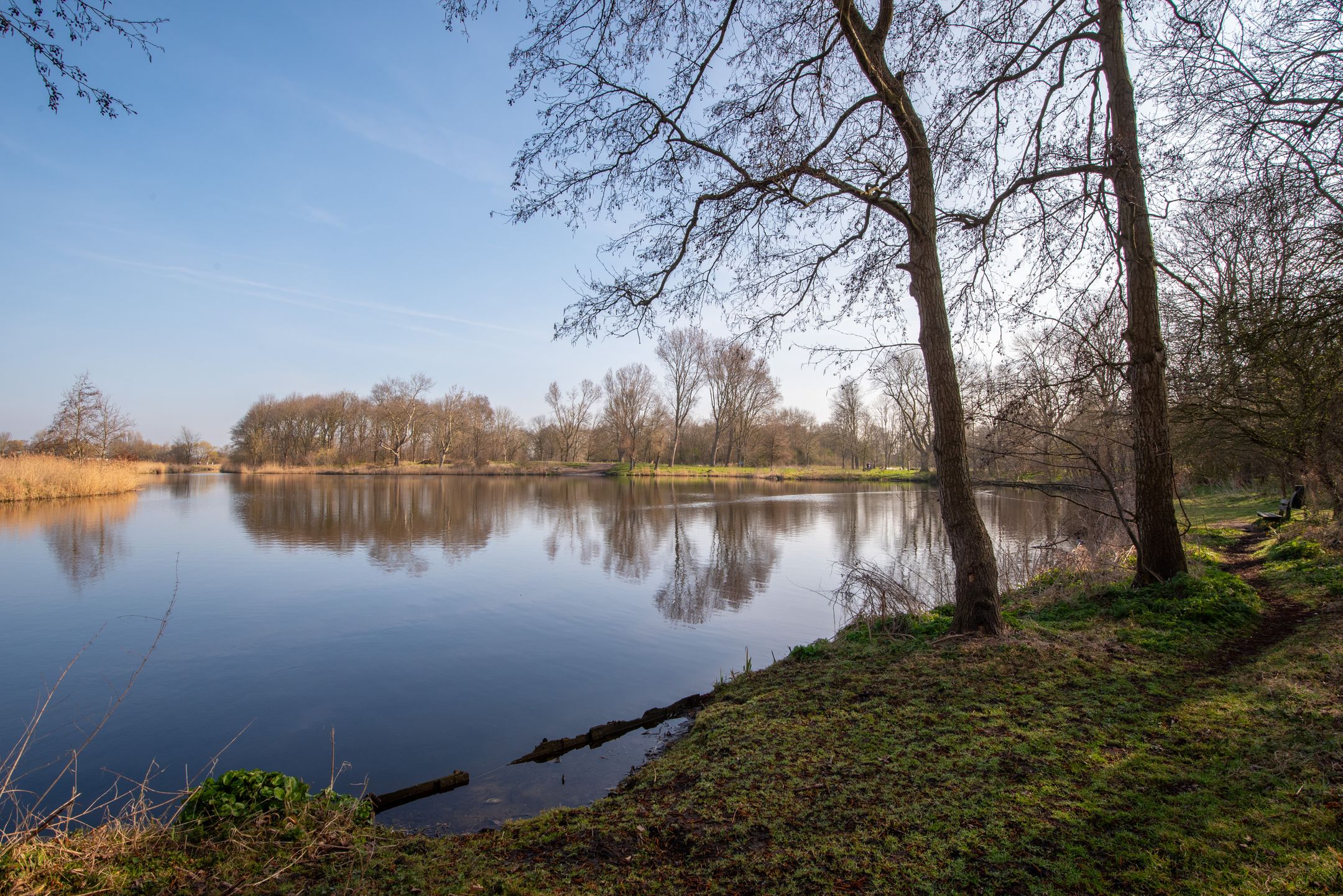 Foto 66 van Bonkelaar 95