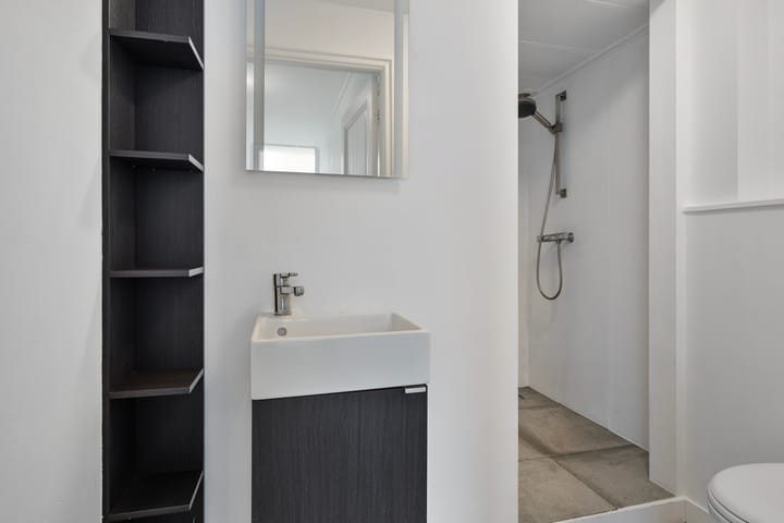 Foto 19 van de Ruyterstraat 205