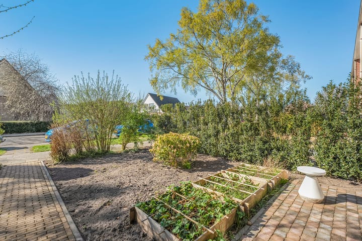 Photo 6 of Mendelssohnstraat 22