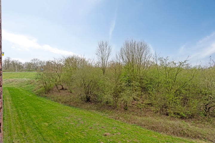 Foto 30 van Nachtschade 52