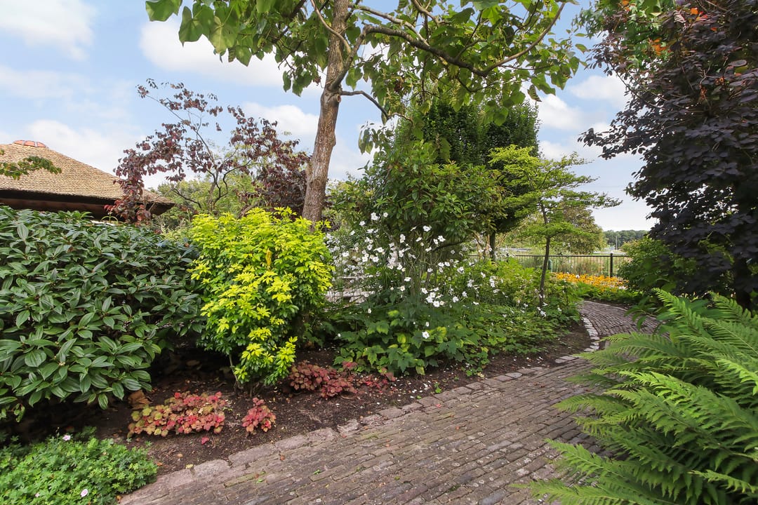 Foto 47 van Wieldrechtse Zeedijk 90