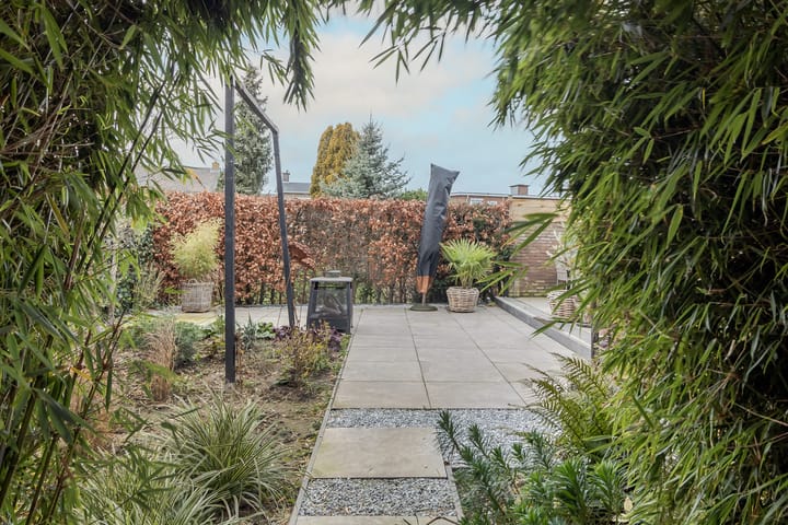 Foto 37 van Rector Thijssenstraat 36