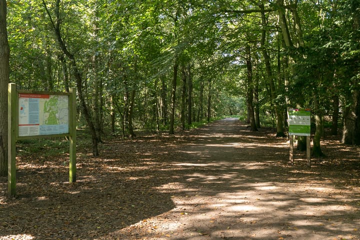 Foto 56 van Koningsduin 45