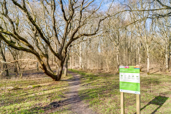 Foto 59 van Koningsduin 45