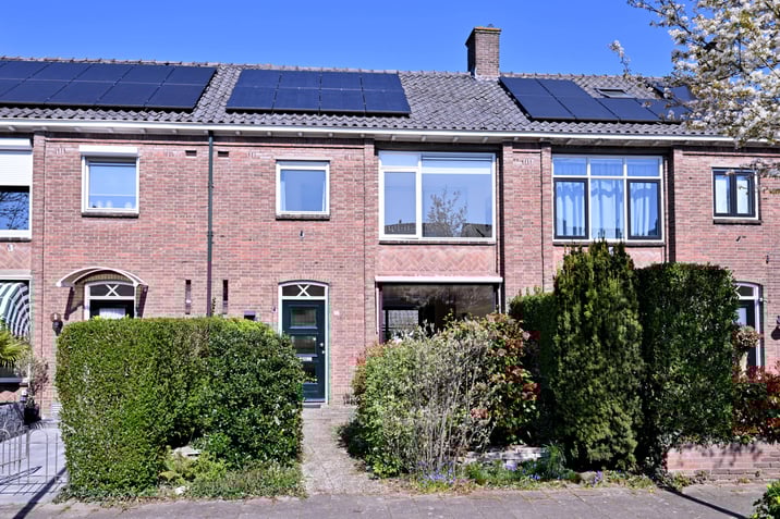 undefined main image