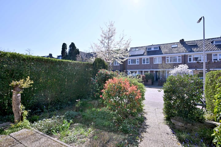 Foto 40 van Swaefkenstraat 12