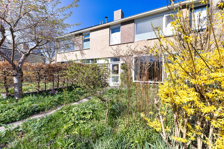 Hulstplantsoen 66