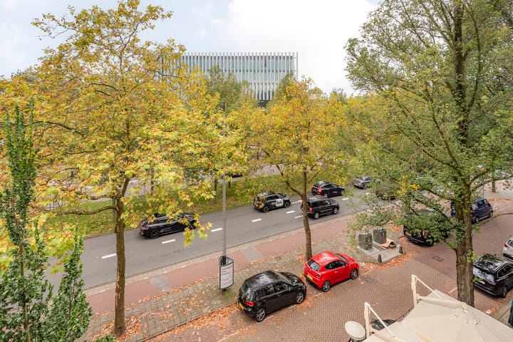 Foto 28 van Europaplein 17-3