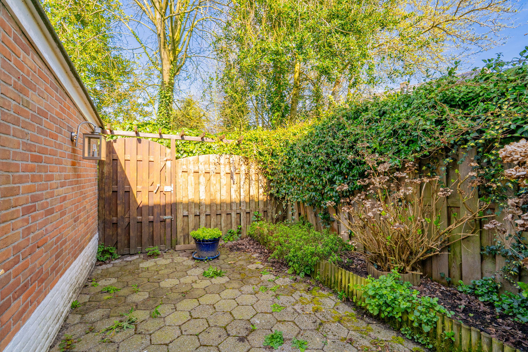 Foto 30 van Burgemeester de Kievietstraat 75