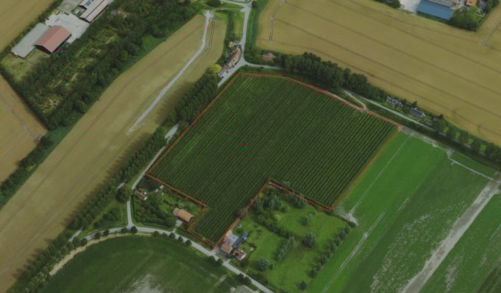 nabij Schoondijksedijk -ONG