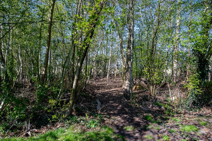 Foto 40 van Noorderkwartier 20