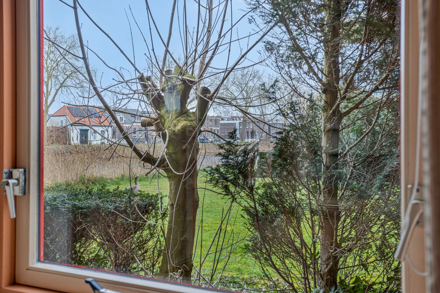 Foto 14 van Hobbemakade 466