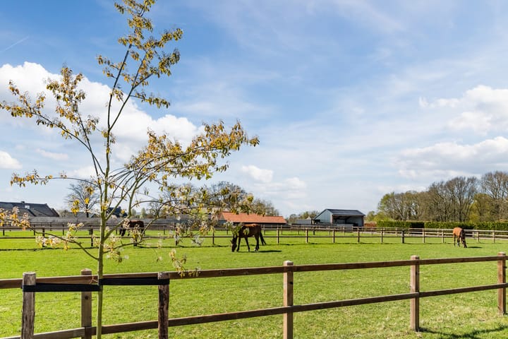 Foto 54 van Puttendijk 6