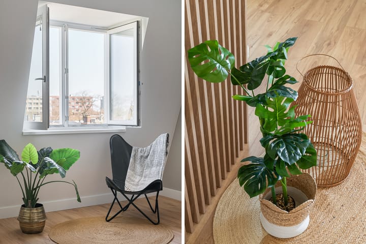 Foto 5 van Pasteurstraat 11-A