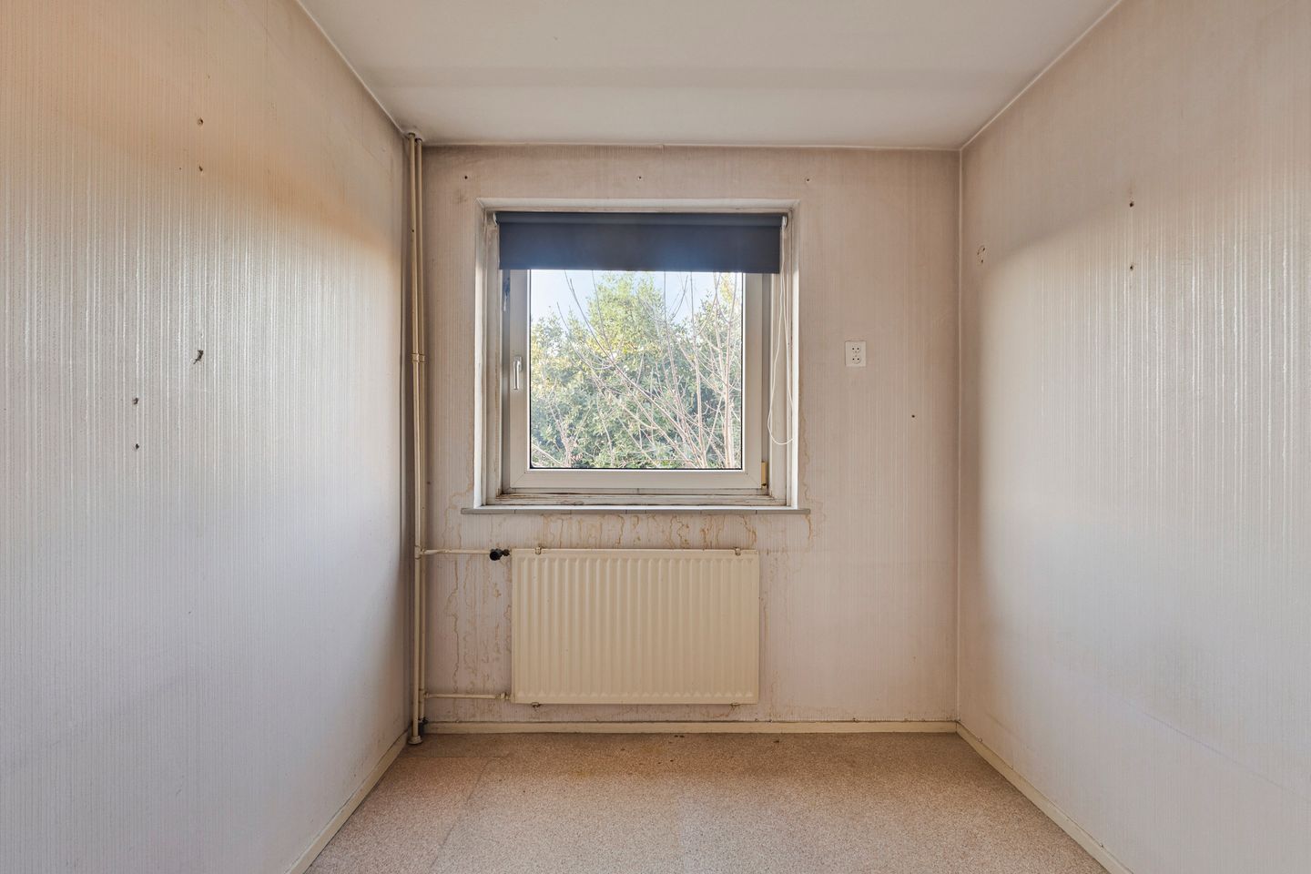 Foto 14 van Troelstraweg 379