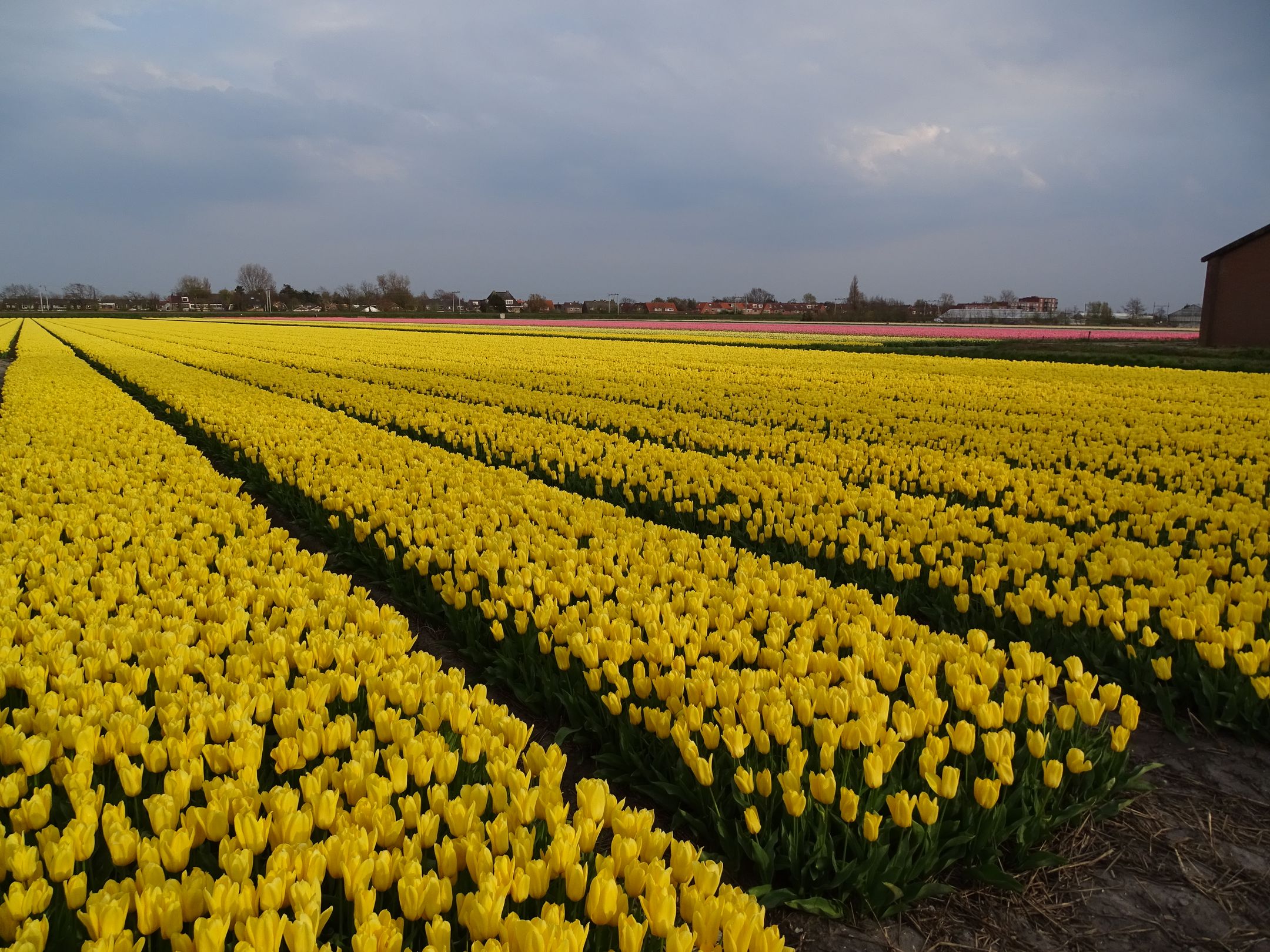 Noorder Leidsevaart 26 