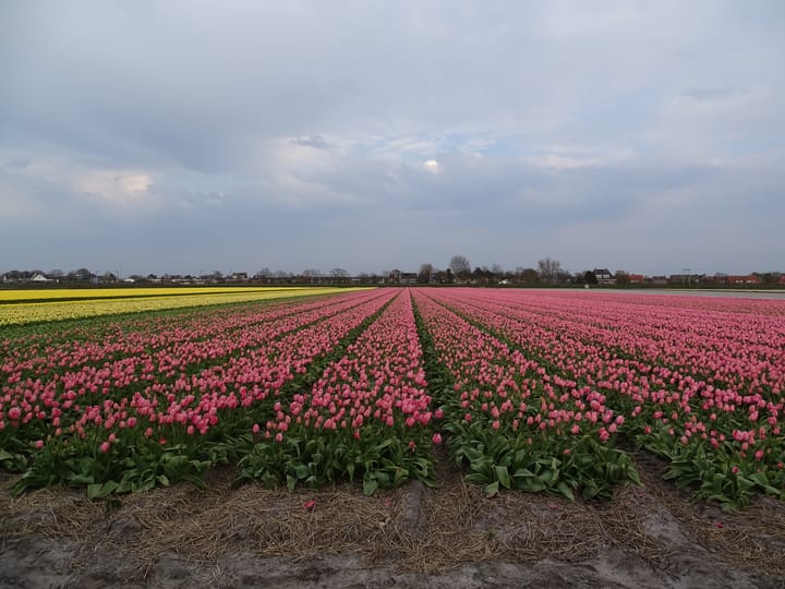 Foto 6 van Noorder Leidsevaart 26