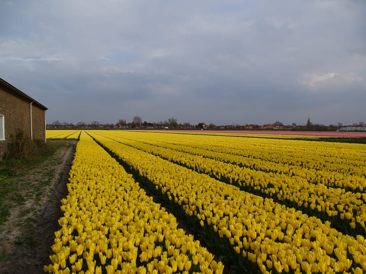 Foto 8 van Noorder Leidsevaart 26