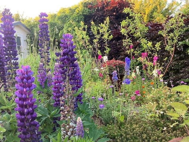 Foto 7 van Eilandseweg 32-C222