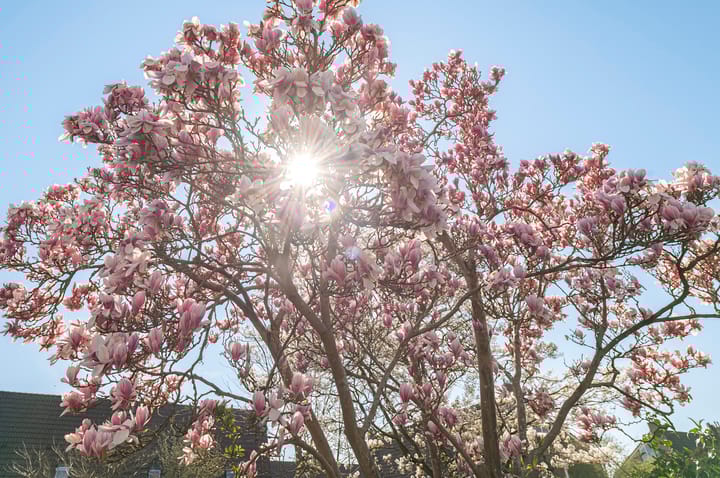 Foto 21 van Weithusen 65