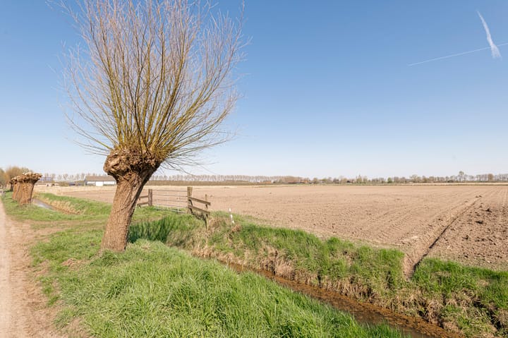 Foto 42 van Weithusen 65