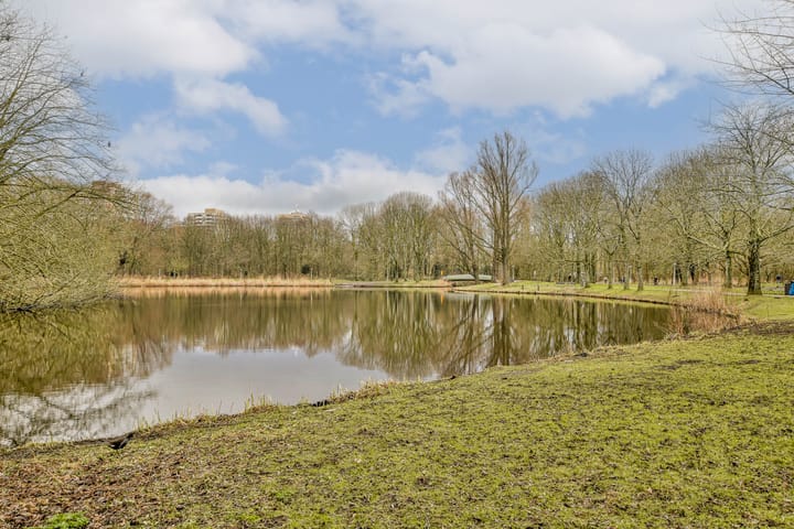 Foto 34 van Theodoor van Hoytemastraat 3