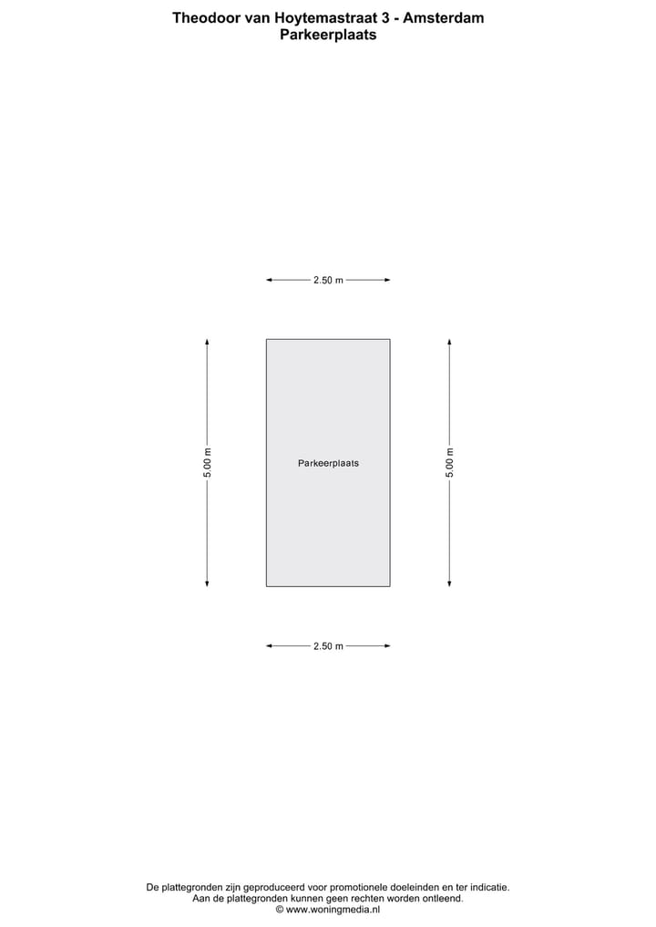 Foto 37 van Theodoor van Hoytemastraat 3