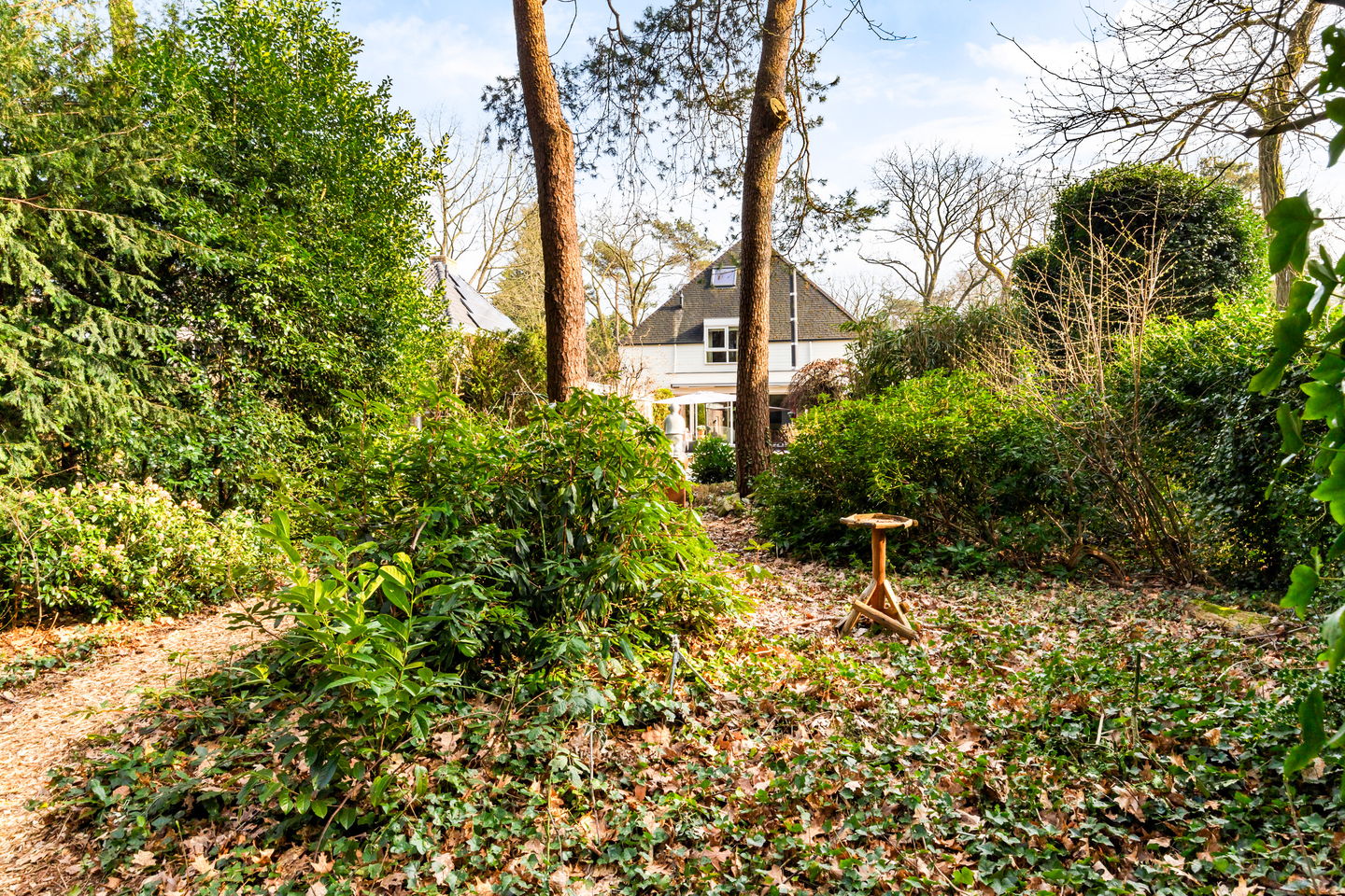 Photo 4 of Vosseveldlaan 54