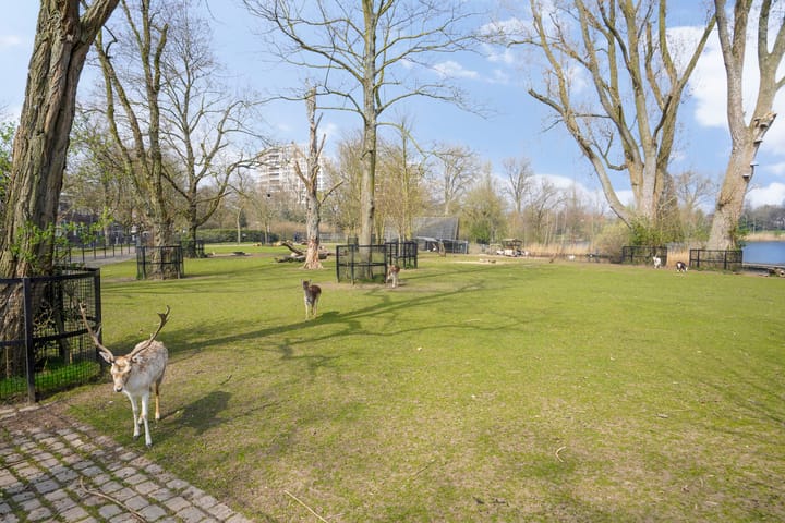 Foto 41 van Zuidoosterfront 49