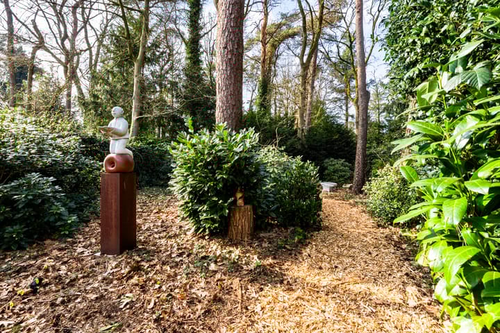 Photo 49 of Vosseveldlaan 54