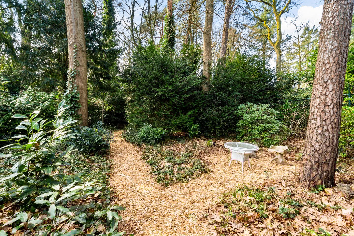 Photo 50 of Vosseveldlaan 54